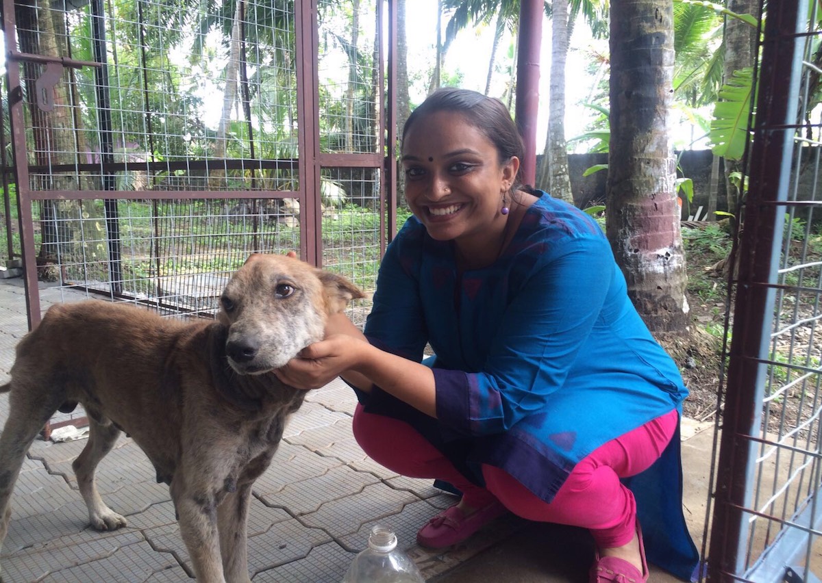 Humanity for Animals Organises a Pet Adoption Drive in Kochi | KochiPost
